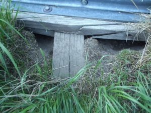 Rat holes under a steel bin with wooden floor. Note how the bin has sank over time, providing the shelter the rats require. Also take note of how clean the holes are, and the way they run around the end of the stud. 